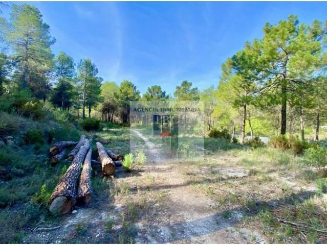 Terreno en venta en l'Alcoià, Valencia