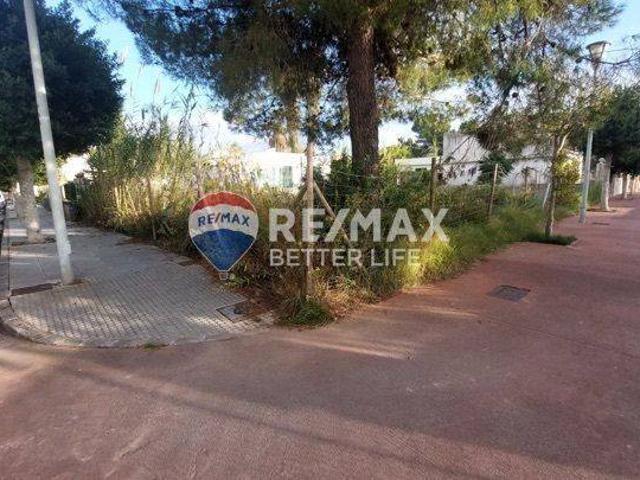 Terreno en venta en Alcúdia