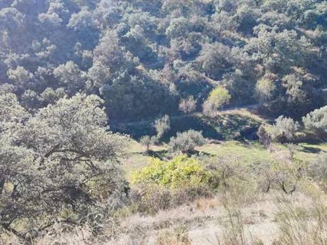 Terreno en venta en Alcudia De Monteagud, Andalucía