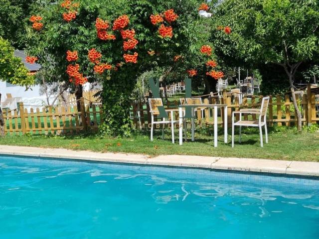 Terreno en venta en Montánchez, Extremadura