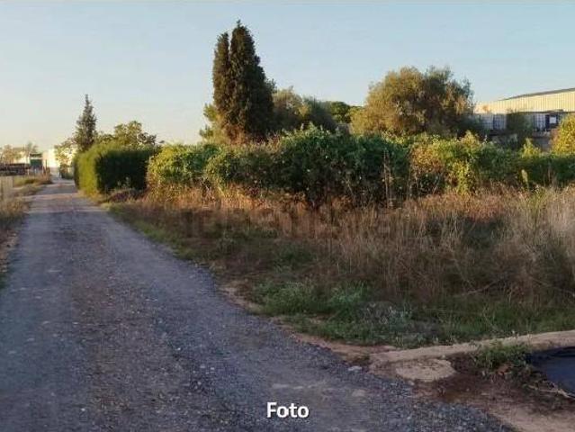 Terreno en venta en l'Horta Sud, Valencia