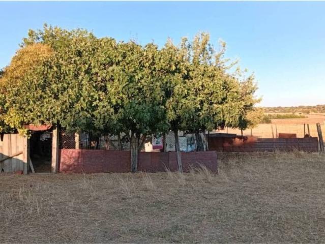 Terreno en venta en Aldea del Cano, Cáceres