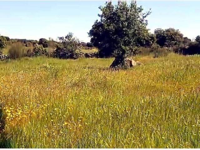 Terreno en venta en Aldea Del Cano, Extremadura