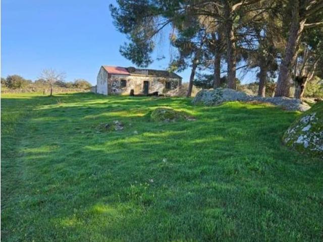 Terreno en venta en Aldea Del Cano, Extremadura