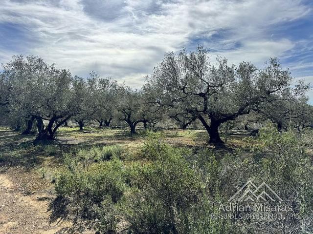 Terreno en venta en Baix Ebre, Catalunya
