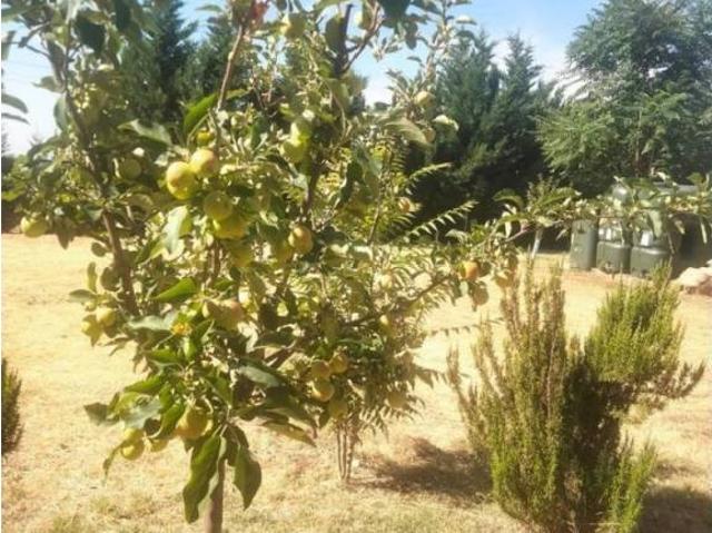 Terreno en venta en Carretera las Maricas, Boecillo