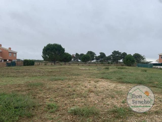 Terreno en venta en Aldeamayor De San Martín, Castilla y León