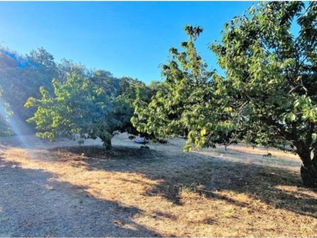 Terreno en venta en Aldeanueva De La Vera, Extremadura