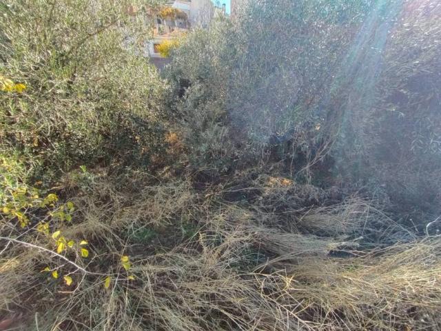 Terreno en venta en Comarca de Guadix, Andalucía