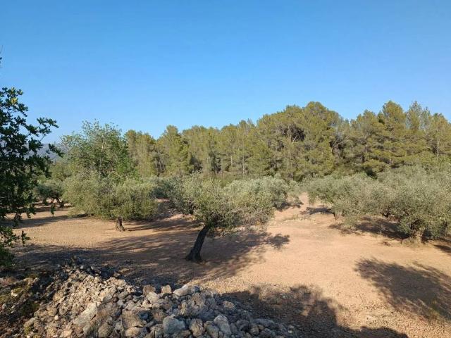Terreno en venta en Aldover