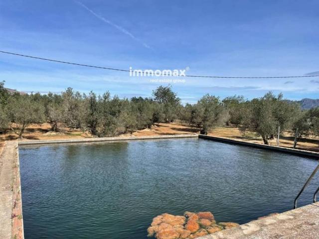 Terreno en venta en Baix Ebre, Catalunya