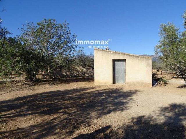 Terreno en venta en Baix Ebre, Catalunya