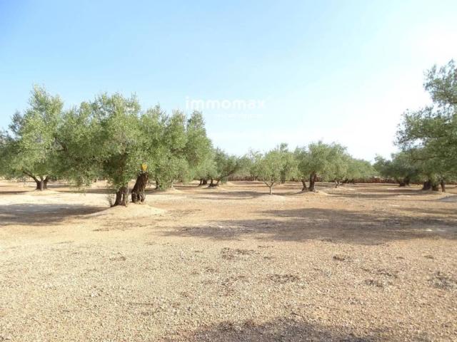Terreno en venta en Baix Ebre, Catalunya