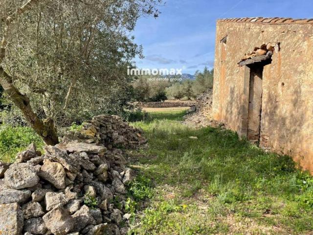 Terreno en venta en Baix Ebre, Catalunya