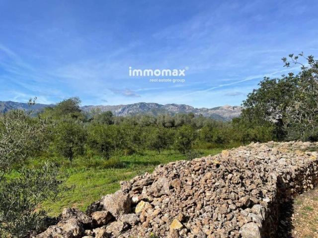 Terreno en venta en Baix Ebre, Catalunya