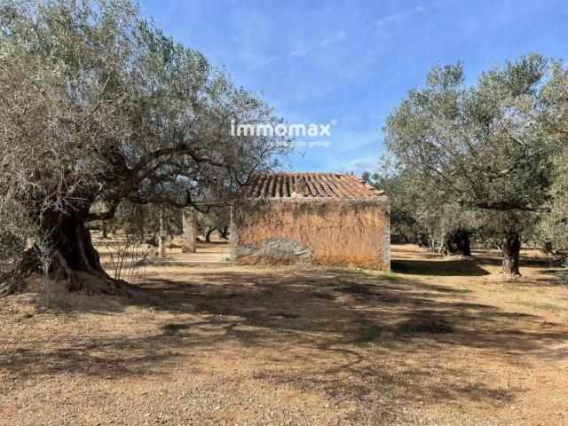 Terreno en venta en Baix Ebre, Catalunya