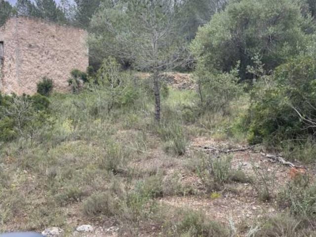 Terreno en venta en Aldover, Tarragona