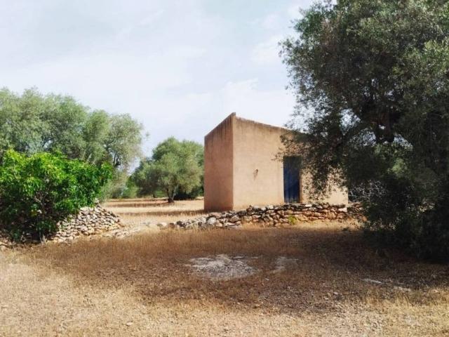 Terreno en venta en Baix Ebre, Catalunya