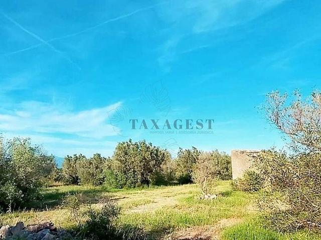 Terreno en venta en Baix Ebre, Catalunya