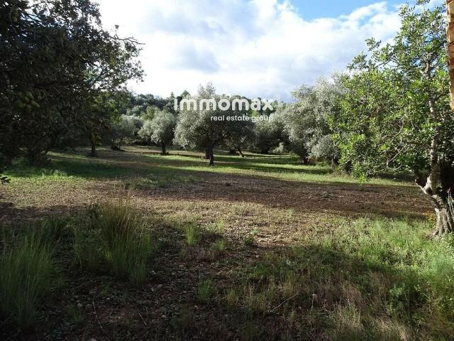 Terreno en venta en Baix Ebre, Catalunya