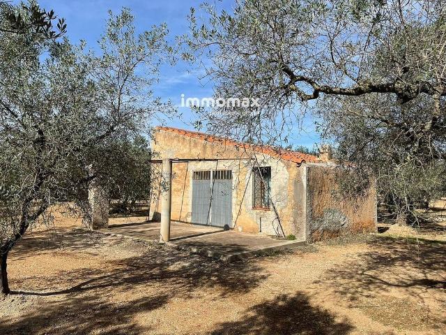 Terreno en venta en Baix Ebre, Catalunya
