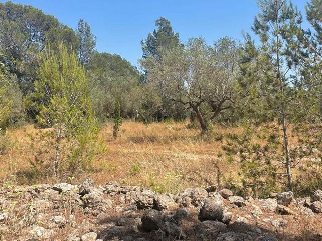 Terreno en venta en Baix Ebre, Catalunya