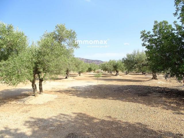 Terreno en venta en Baix Ebre, Catalunya