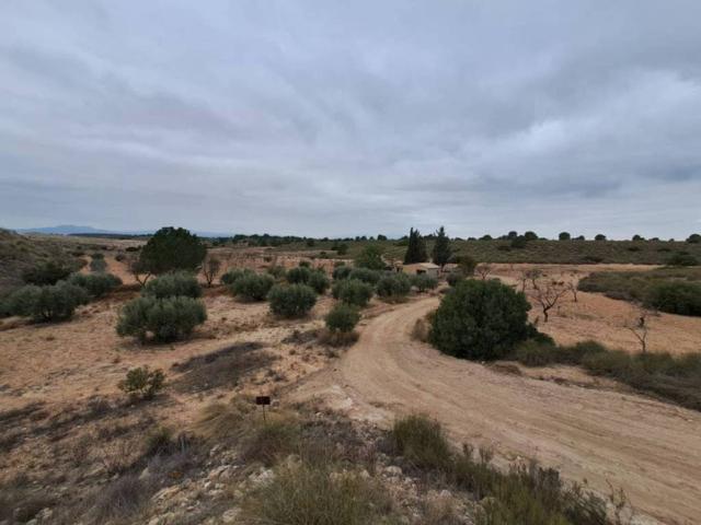 Terreno en venta en Bajo Guadalentín, Murcia