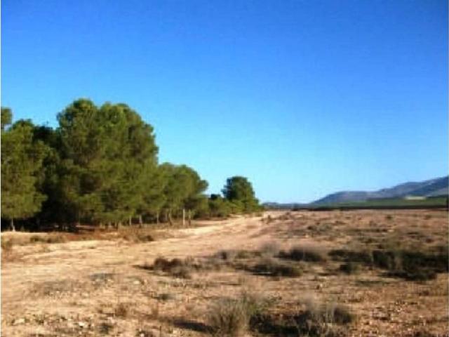 Terreno en venta en Bajo Guadalentín, Murcia