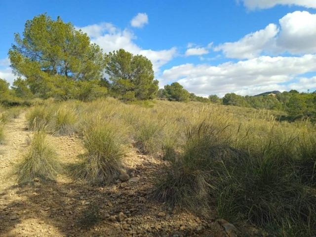 Terreno en venta en Bajo Guadalentín, Murcia