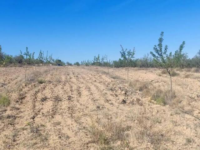Terreno en venta en Bajo Guadalentín, Murcia