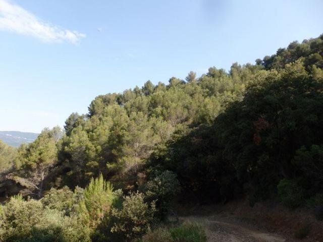 Terreno en venta en L'aleixar, Tarragona