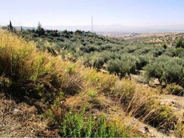 Terreno en venta en Comarca de la Vega de Granada, Andalucía