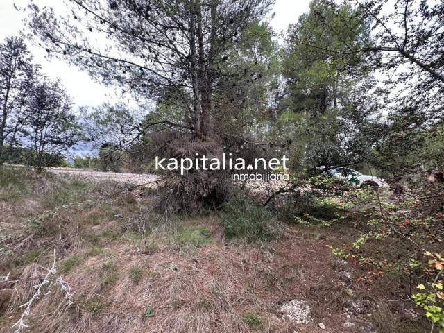 Terreno en venta en el Comtat, Valencia