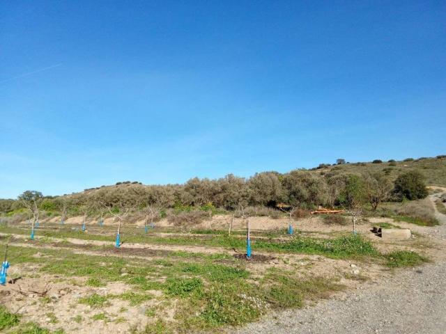 Terreno en venta en Cinca Medio, Aragón