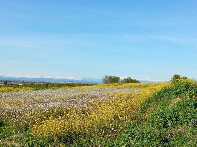 Terreno en venta en Cinca Medio, Aragón