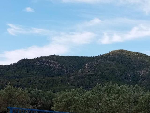 Terreno en venta en Alfara De Carles