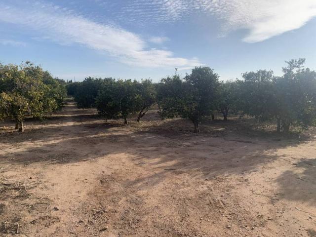 Terreno en venta en l'Horta Nord, Valencia