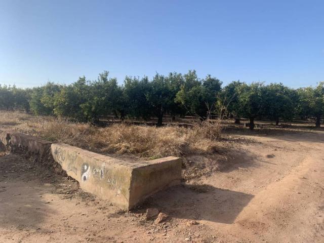 Terreno en venta en l'Horta Nord, Valencia