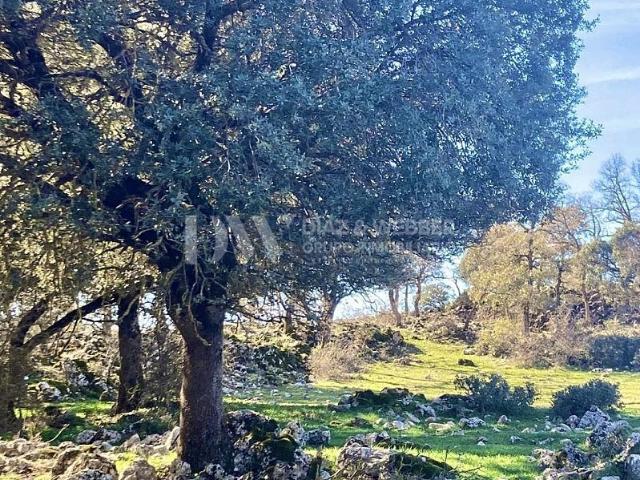Terreno en venta en La Axarquía, Andalucía