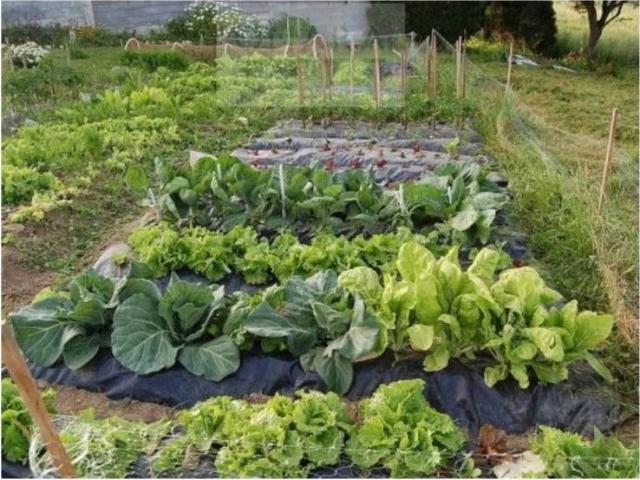Terreno en venta en Alfaro, La Rioja