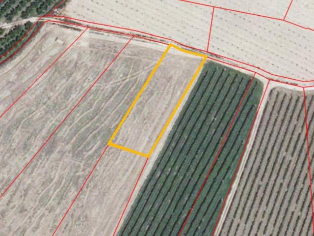 Terreno en venta en Alfaro, La Rioja