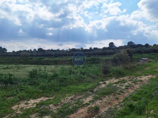 Terreno en venta en la Vall d'Albaida, Valencia