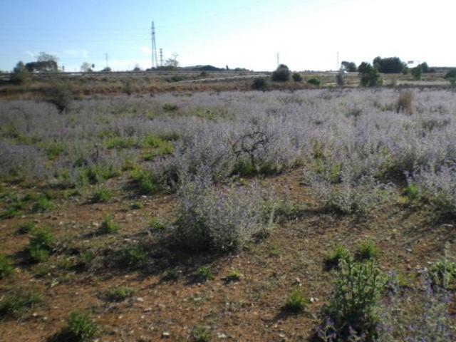 Terreno en venta en la Vall d'Albaida, Valencia
