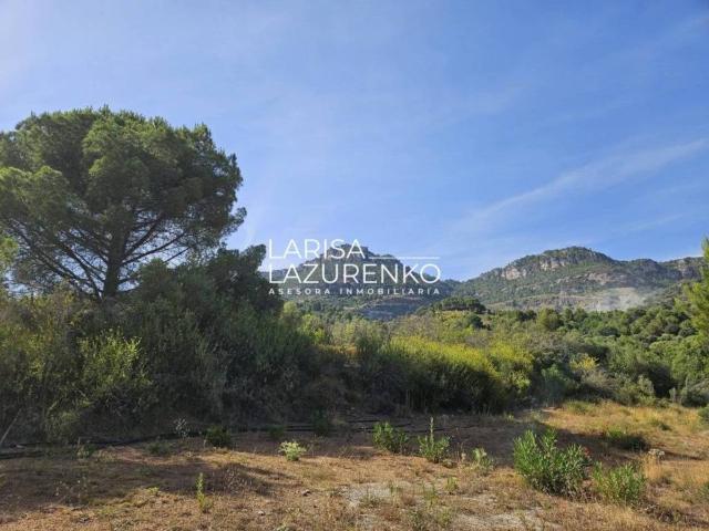 Terreno en venta en Baix Camp, Catalunya