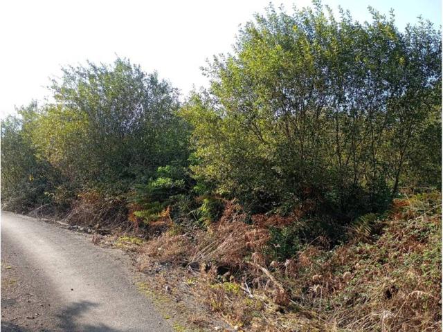 Terreno en venta en Novales, Alfoz de Lloredo