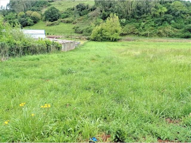 Terreno en venta en Alfoz de Lloredo, Cantabria