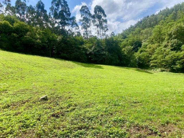 Terreno en venta en Alfoz De Lloredo, Cantabria