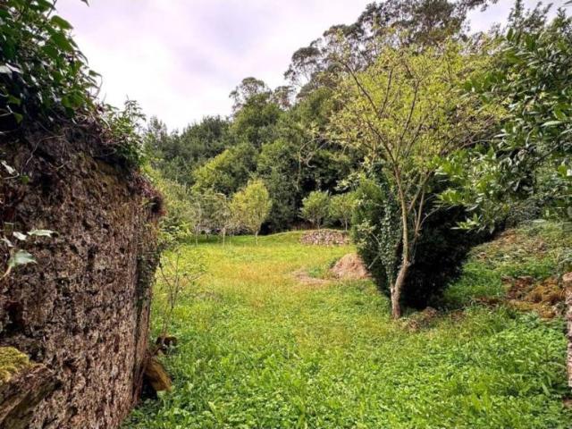 Terreno en venta en Alfoz De Lloredo, Cantabria