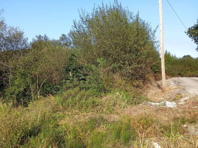 Terreno en venta en Alfoz De Lloredo, Cantabria